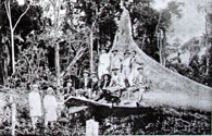 海外興業会社植民部測量班の一隊（海興『イグアッペ植民地創立20周年記念写真帳』1933年）