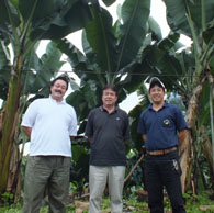 「田辺バナナ」の正裕さん（中央）、洋樹（ひろき）さん（右）、高橋力さん（左）