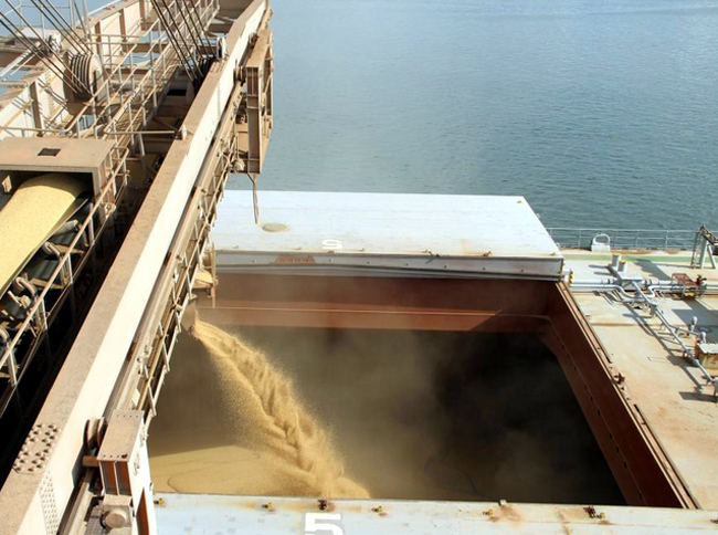 大豆の積み込み（パラナグア港、GEPR）