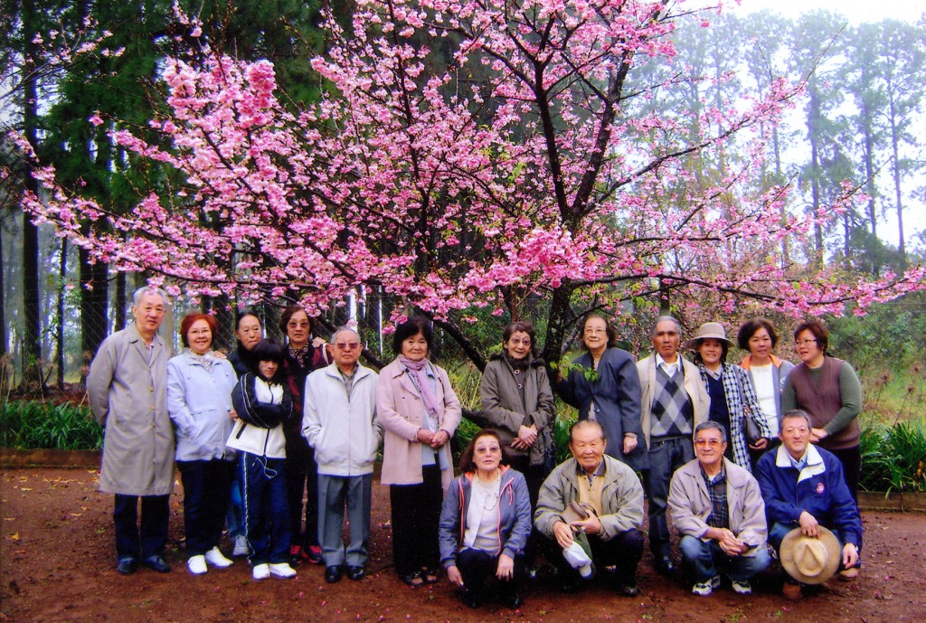 敬宮愛子内親王の誕生を祝って植樹した記念桜の下で、ロンドリーナ熊本県人会会員ら