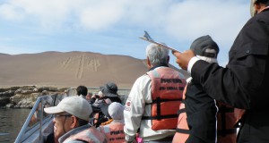 バレスタス島ツアーで見学した地上絵のレプリカ