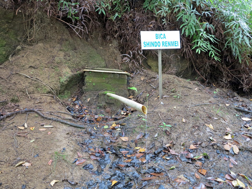 「臣道聯盟の蛇口」（Bica Shindo Renmei）と名付けられた水源地
