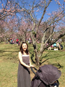 第３６回カルモ公園桜祭りにて。花見客がほとんどブラジル人だったのに驚いたという