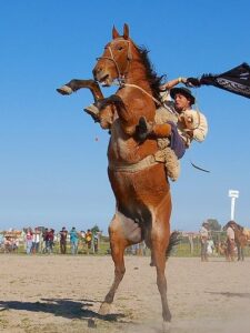 ガウショの荒馬乗りの様子（翻訳者提供）