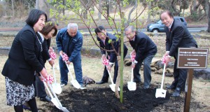 記念植樹を行なった福井会長（左端）ら（同協会提供）