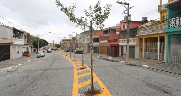 対抗車線と区切るため道路の真ん中に植えられた苗木（Fabio Arantes/SECOM/PMSP）