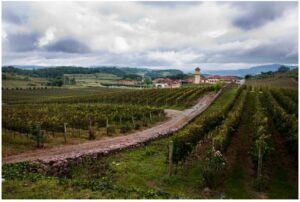 ガウーショ山脈（Serra Gaucha）の中の村の様子（Foto Eduardo Seidl/Palacio Piratini）