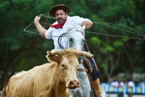 馬術に長けたガウーショの様子(Foto Eduardo Seidl/Palacio Piratini)