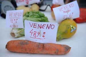 昨年12月にリオで行なわれた農薬反対運動の際に展示された野菜