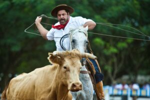 2011年のフェスタ・デ・カンペイラ（牛飼い祭り）の様子（Foto Eduardo Seidl/Palacio Piratini）