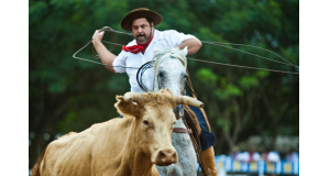2011年のフェスタ・デ・カンペイラ（牛飼い祭り）の様子（Foto Eduardo Seidl/Palacio Piratini）