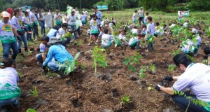 小学生65人による八木農場植樹風景