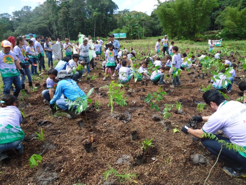 小学生65人による八木農場植樹風景