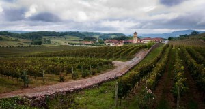 セーラ・ガウーシャの農村の光景（Foto Eduardo Seidl/Palacio Piratini）