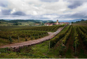 セーラ・ガウーシャの農村の光景（Foto Eduardo Seidl/Palacio Piratini）