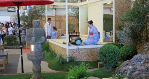 建設会社と提携して、仮設とは思えない立派な日本庭園付き茶室を作った茶道裏千家