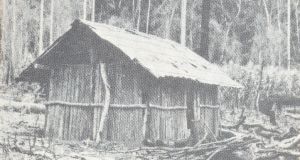 初期の移民が住んでいたパウミット小屋。椰子の割って板状にして作った（『棉作王　松原武雄』54頁）