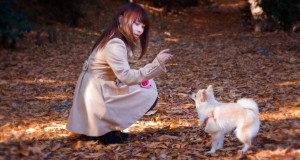 犬の散歩の様子（写真素材ぱくたそ、モデルＬａｌａ）(https://www.pakutaso.com)