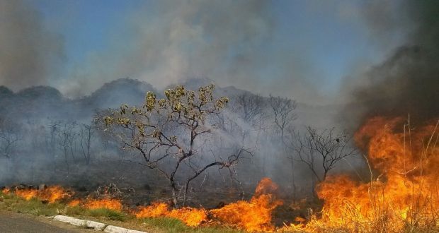 極度に乾燥した日が続き、自然発生した火事（Jose Cruz/Agencia Brasil）