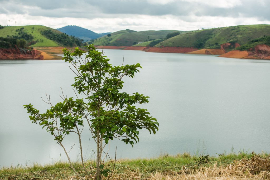 ＥＮ現象による干ばつで水位の低下が心配される水力発電所（Edson Lopes Jr./A2AD）