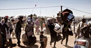 トルコとの国境を歩いて越えるシリアのクルド人難民（I. Prickett/UNHCR）