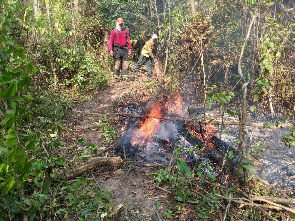 先住民居住区で消火活動に当たる消防士達（Corpo de Bombeiros - 09/10/2015）
