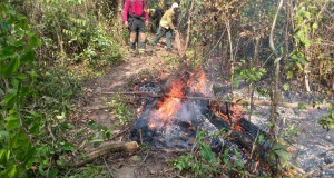 先住民居住区で消火活動に当たる消防士達（Corpo de Bombeiros - 09/10/2015）
