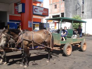 パラグァイ、サンイグナシオのメノナイトの馬車（By Patty P (Own work) [Public domain], via Wikimedia Commons）