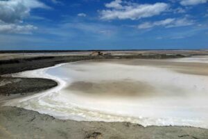 強烈な太陽光だけで水分が蒸発し固形になっている塩田