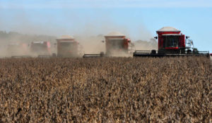 巨大な収穫機が横一列になって大豆を刈り入れる様子（Foto: Fernando Dias/Seapa）