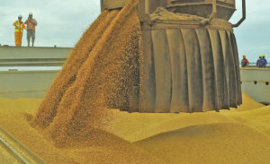 船に積み込む輸出用の大豆（Foto: Ivan Bueno/APPA）
