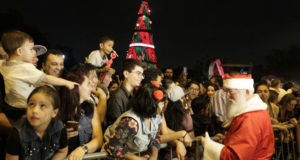 サンパウロ市イビラプエラ公園に設けられたクリスマスツリーとその前に集まる人々（Heloisa Ballarini/Secom PMSP）