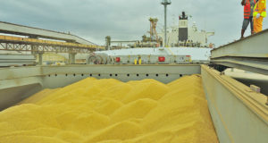 出荷されるブラジル産大豆（参考画像・Ivan Bueno/APPA）