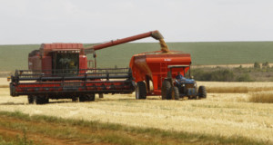広大な国土を持つブラジルは、農業が主要産業だ（参考画像・Orlando Kissner/ANPr）