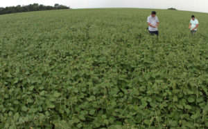 ブラジル北部での作物収穫の好調が、ＧＤＰを伸ばす力となった。（参考画像・CRISTINO MARTINS /Ag. Pará）