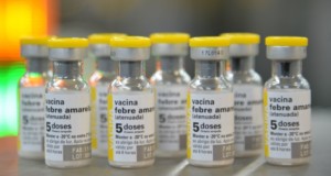 黄熱病のワクチン（Foto Rovena Rosa/Agencia Brasil）