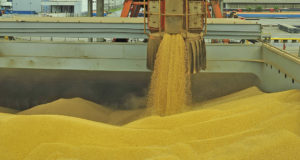パラナグア港での大豆の積み込み（参考映像、Ivan Bueno/APPA）