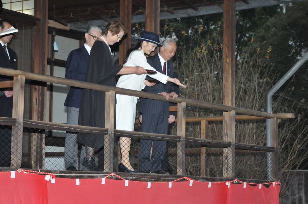 日本館で鯉にえさをやる眞子さま（望月二郎撮影）