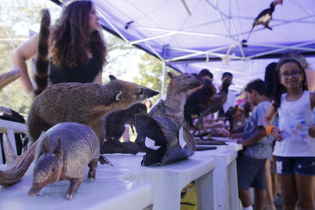 動物の展示コーナーと訪れる人々（Fernando Frazão/Agência Brasil）