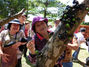 天然の木葡萄を味見する参加者