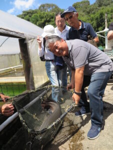 １７キロぐらいの成魚を見せる江尻さん（右）