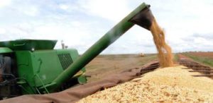 広大な国土のブラジルの穀物収穫量は年間２億トン以上になる（参考画像・Agencia Brasil）