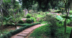 最後の事業となった日本庭園修復