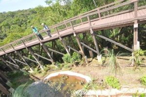 バリアフリー化された遊歩道（撮影・望月二郎）