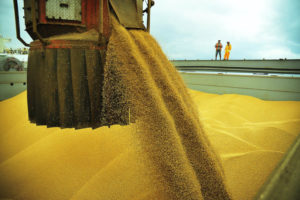 ブラジル産大豆の中国市場シェアには早急の影響はないと見られる（参考画像・Ivan Bueno/AG.PArana）