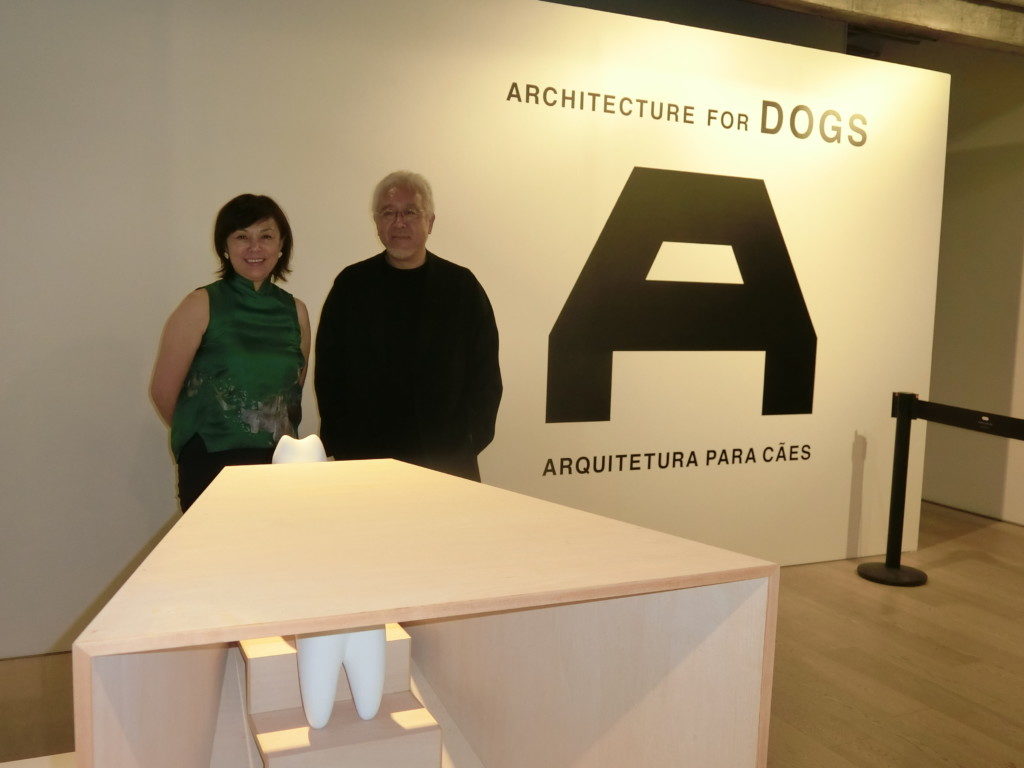 展示中の「犬のための建築」