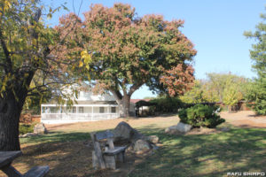 若松コロニーの跡地は１９６９年にカリフォルニア州の歴史史跡に指定され、敷地の隣にあるゴールド・トレイル小学校にそのモニュメントがある（写真＝吉田純子）