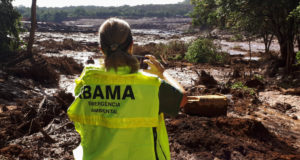 現地を視察した国立再生可能天然資源・環境院（ＩＢＡＭＡ）のスタッフ（IBAMA）