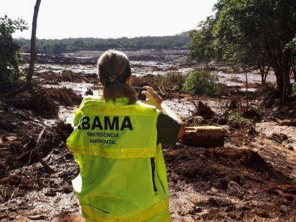 現地を視察した国立再生可能天然資源・環境院（ＩＢＡＭＡ）のスタッフ（IBAMA）