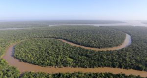 ＮＧＯとの契約停止で修復不能な損失が生じる可能性が懸念される法定アマゾンの熱帯林（SIDNEY OLIVEIRA/AG. PARÁ DATA: 18.10.2017）